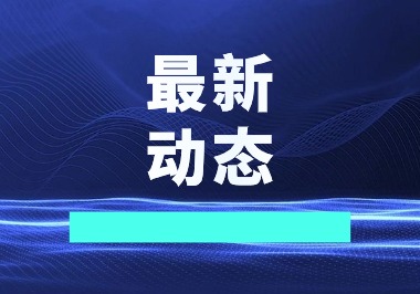 提供全面及时体育资讯的权威网站